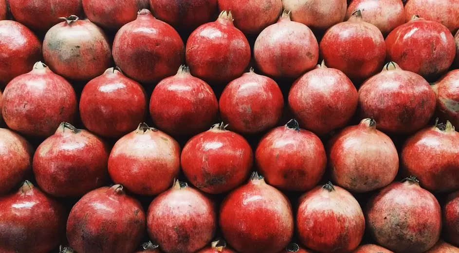 Granatapfel fir d