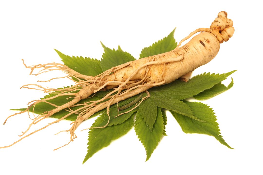 ginseng - en Element vun der Zesummesetzung Alfazone